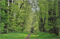 <p>Šluknovsko - okolí Lobendavy</p>