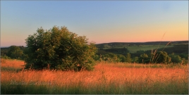 <p>Šluknovsko - západ slunce na Knížecí</p>