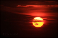 <p>Šluknovsko -  západ slunce na Knížecí</p>