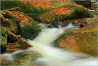 <p>Krkonoše - Mumlava</p>