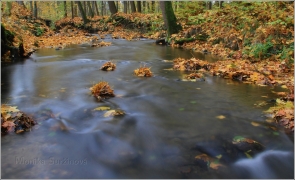 <p>Šluknovsko - Rožanský potok</p>