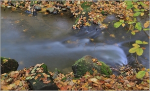<p>Šluknovsko - Rožanský potok</p>