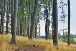 <p>Šluknovsko - Království</p>