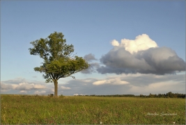 <p>okolí Rumburku</p>