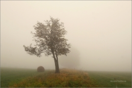 <p>Lužické hory - pod Studencem</p>