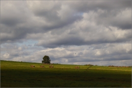 <p>Šluknovsko - okolí Jiříkova</p>
