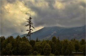 <p>Vysoké Tatry</p>