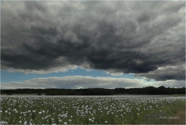 <p>Šluknovsko - Jiříkov</p>