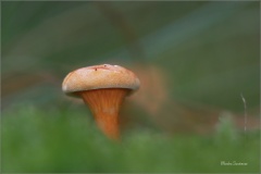 0724