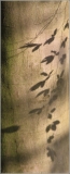 0803