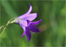 0853