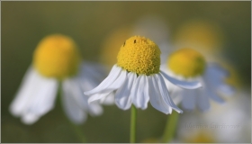 1043