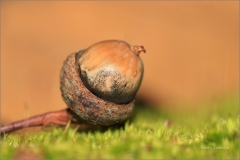 1341