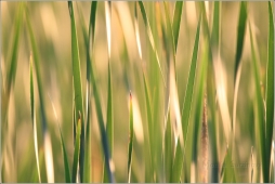 1044
