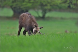 nature-mmmnkkkk12429-kopie
