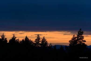 DSC08215-ARW_DxO_DeepPRIME
