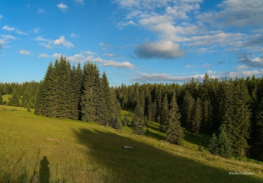 sumava-filipova-hut-3-kopie