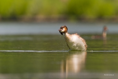 DSC05409-ARW_DxO_DeepPRIME