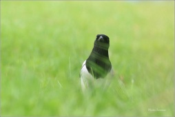 akjlupwrer456hjzr06 akjlupwrer456hjzr06