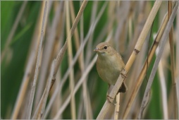 akjlupwrer456hjzr07 akjlupwrer456hjzr07