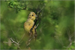 akjlupwrer456hjzr08 akjlupwrer456hjzr08