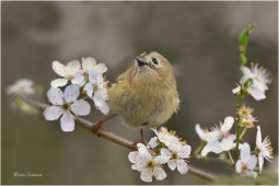 naturepriroda117 naturepriroda117