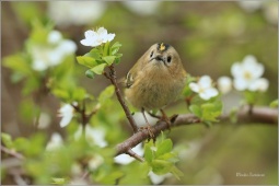 naturepriroda128 naturepriroda128
