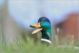 sfdgpqw47496 sfdgpqw47496