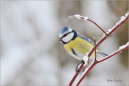 natur-fgh256nb77 natur-fgh256nb77
