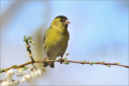 nature-lllfgt123508 nature-lllfgt123508