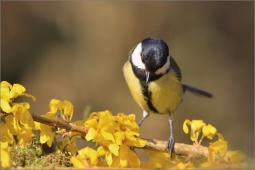 nature-lllfgt123525 nature-lllfgt123525