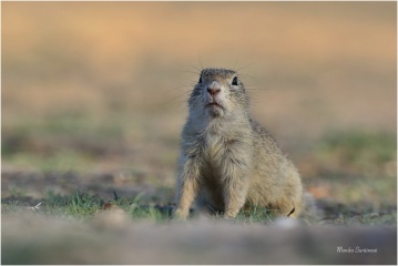 naturepriroda166