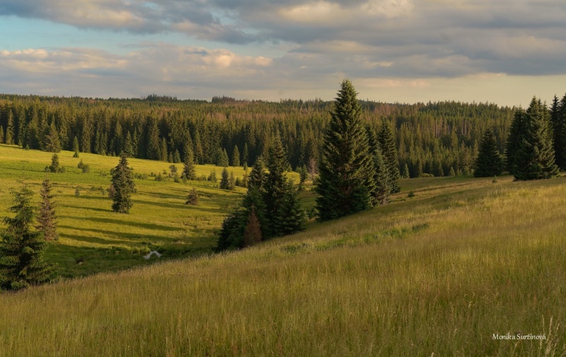 sumava-filipova-hut-2
